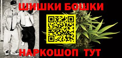 ешки Новодвинск