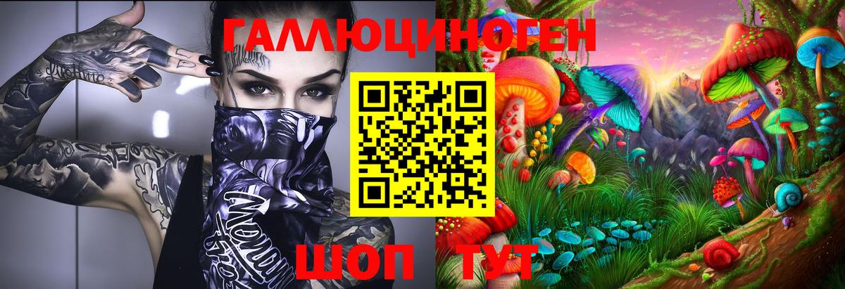 Тайшет  Галлюциногенные грибы Magic Shrooms  Псилоцибиновые грибы Psilocybe  Вход с VPN 